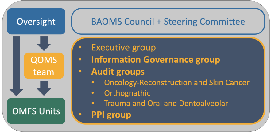 Figure 10. Structure of the QOMS project