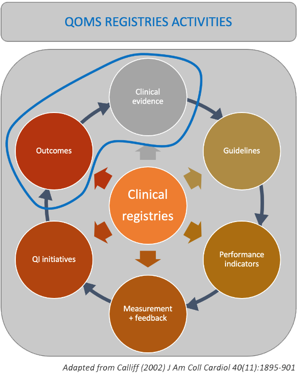 Figure 9. Use of clinical registries for clinical effectiveness, disease- and procedure-specific registries