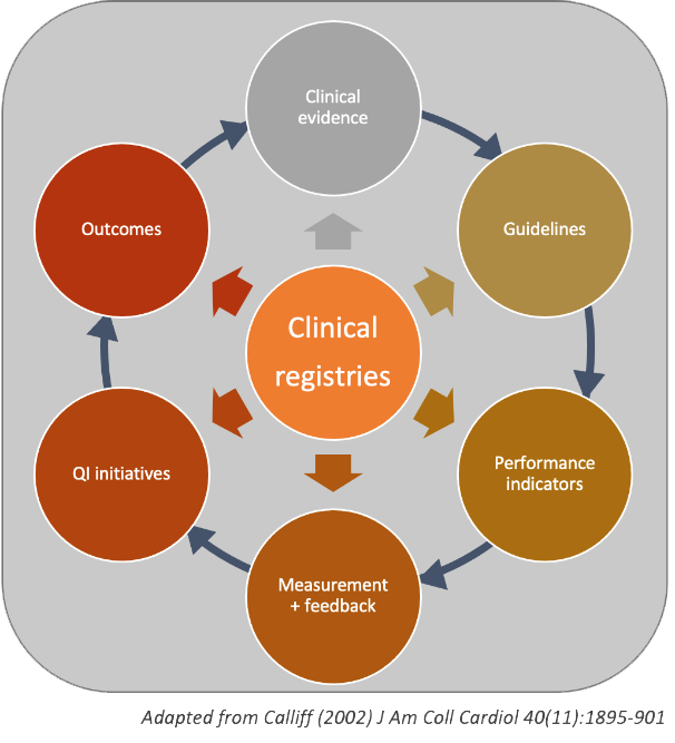 Roles of Clinical Registries